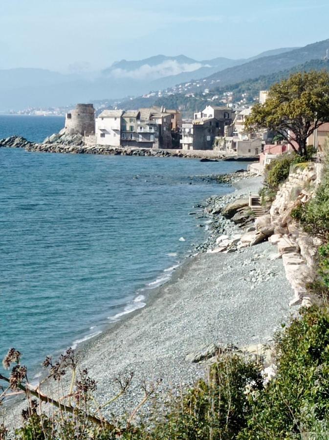 Casa Luciani Daire Erbalunga  Dış mekan fotoğraf
