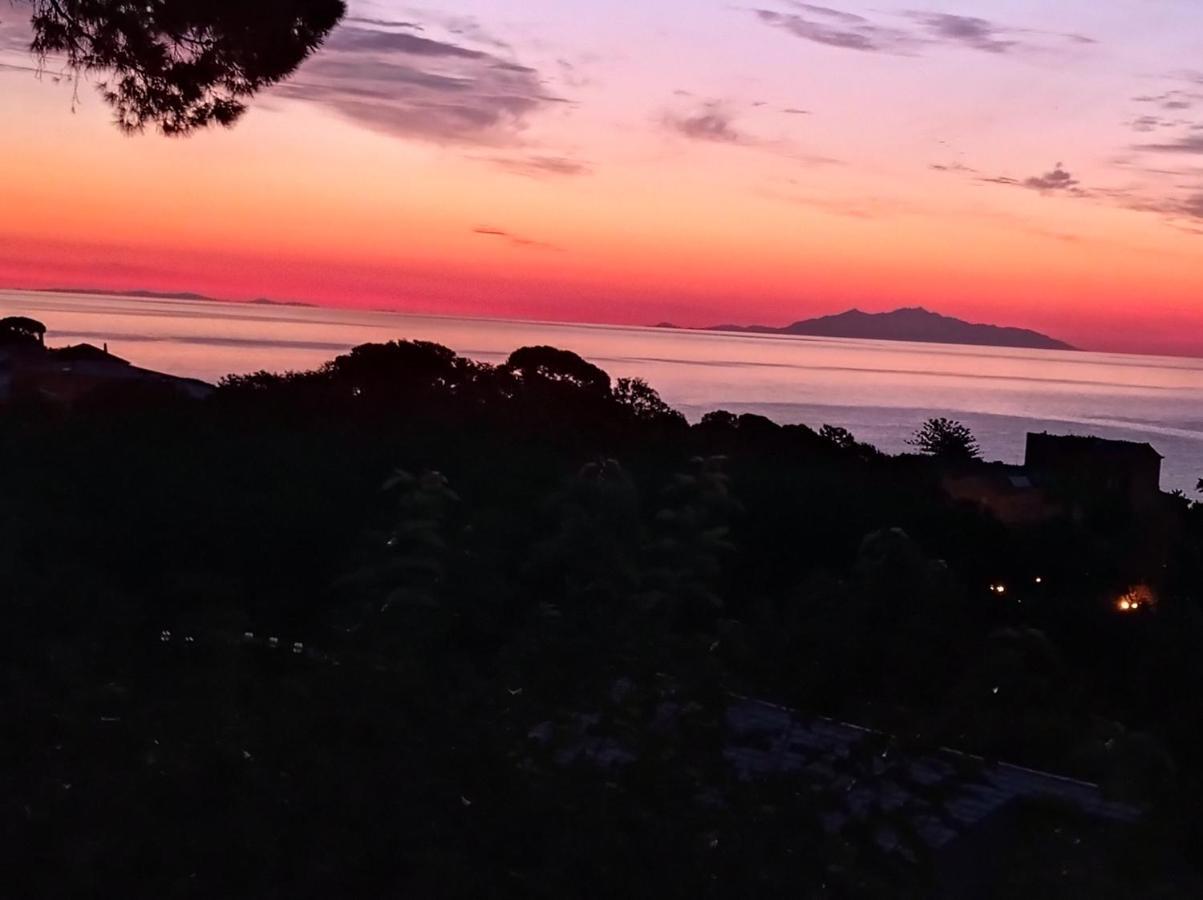 Casa Luciani Daire Erbalunga  Dış mekan fotoğraf